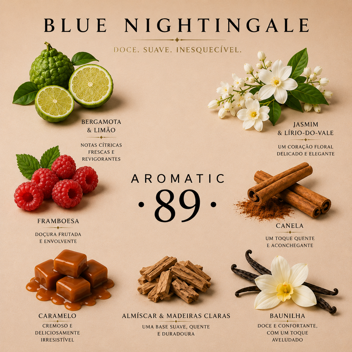 Clipes Ar Carro AROMATIC•89• | 2 Peças Fragrância Premium Duradoura